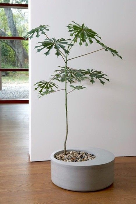 <span style="font-weight: bold;">MACETA CIRCULAR</span>&nbsp;