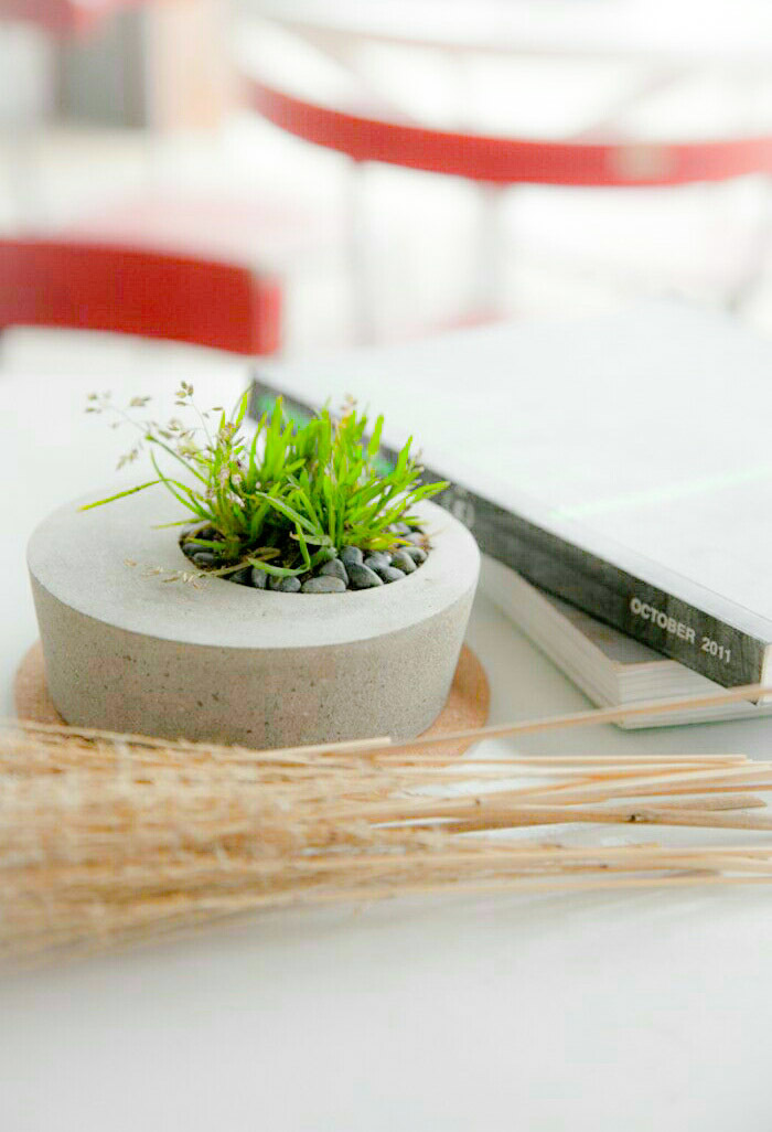 <span style="font-weight: bold;">MACETA DE CONCRETO</span>&nbsp;